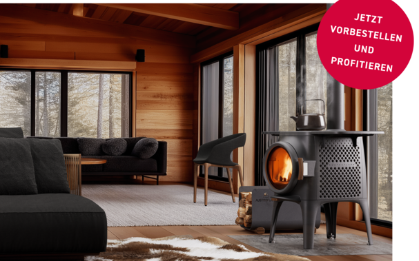 Kaminöfen Austroflamm Cloudi