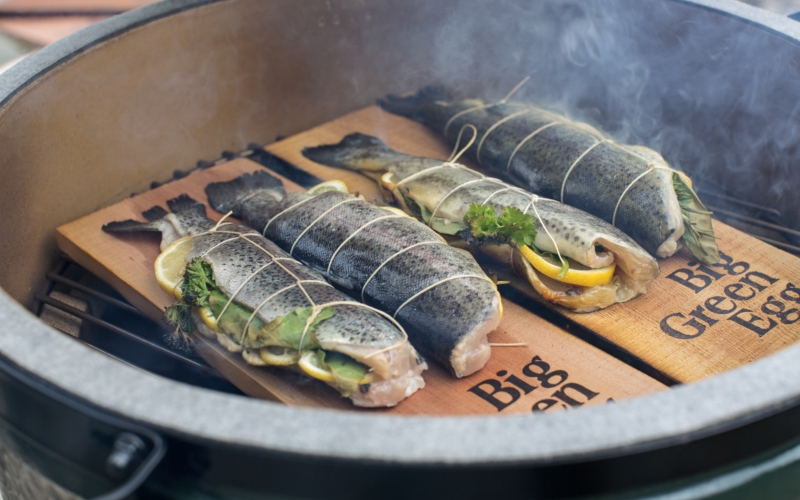 Zubehör Big Green Egg Grillplanken aus Holz