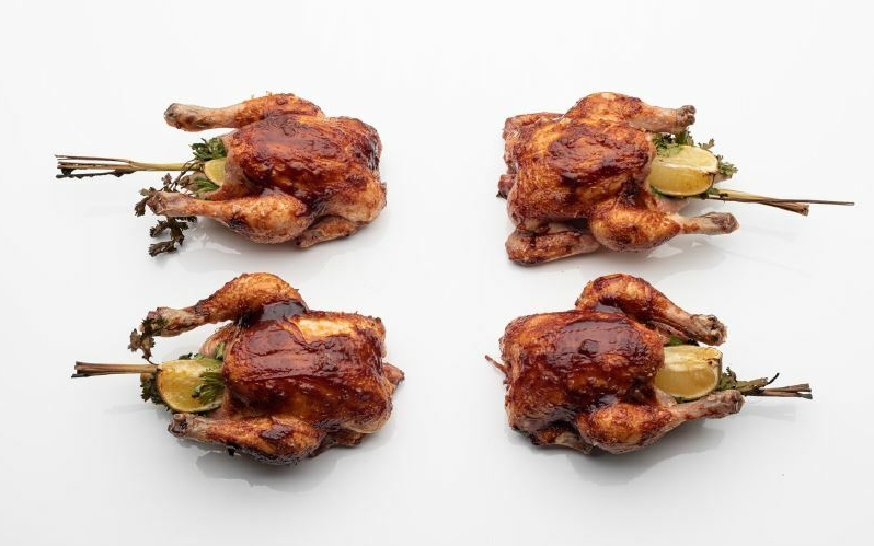 Zubehör Big Green Egg Modus Operandi
